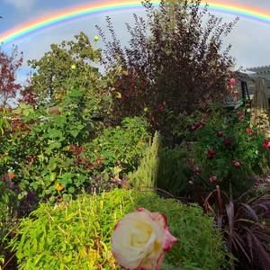 Meet your Posher, Clare